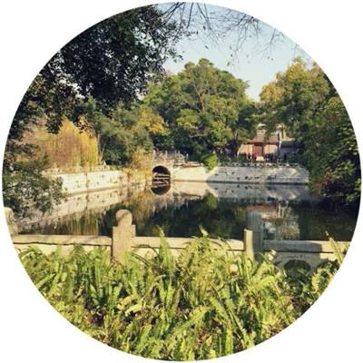 器灵内购破解版下载