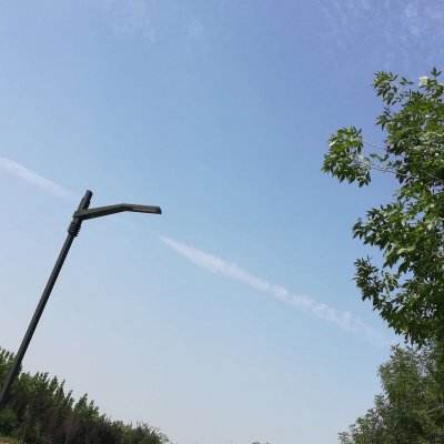 冰鸟游戏修仙群侠传下载